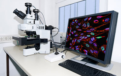 Microscope Live Cell Incubators
